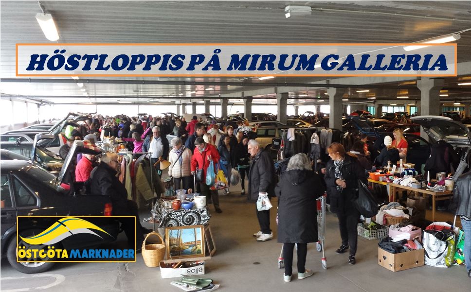 Bakluckeloppis på Mirum